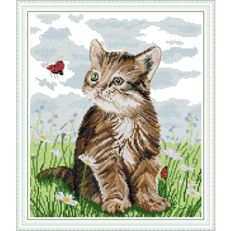 Cat and ladybird