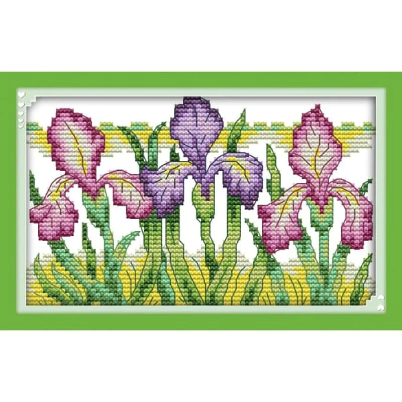 Gorgeous iris