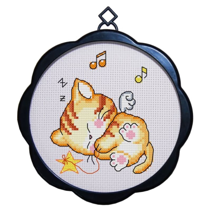 Kitten 6
